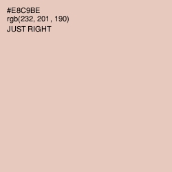 #E8C9BE - Just Right Color Image